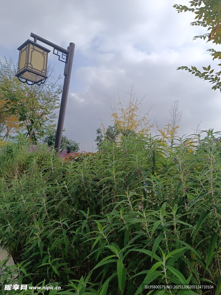 户外田野中的指示牌