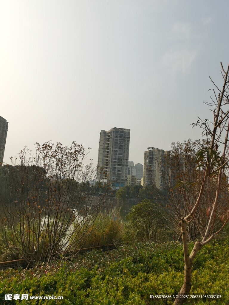 城市边的自然景观