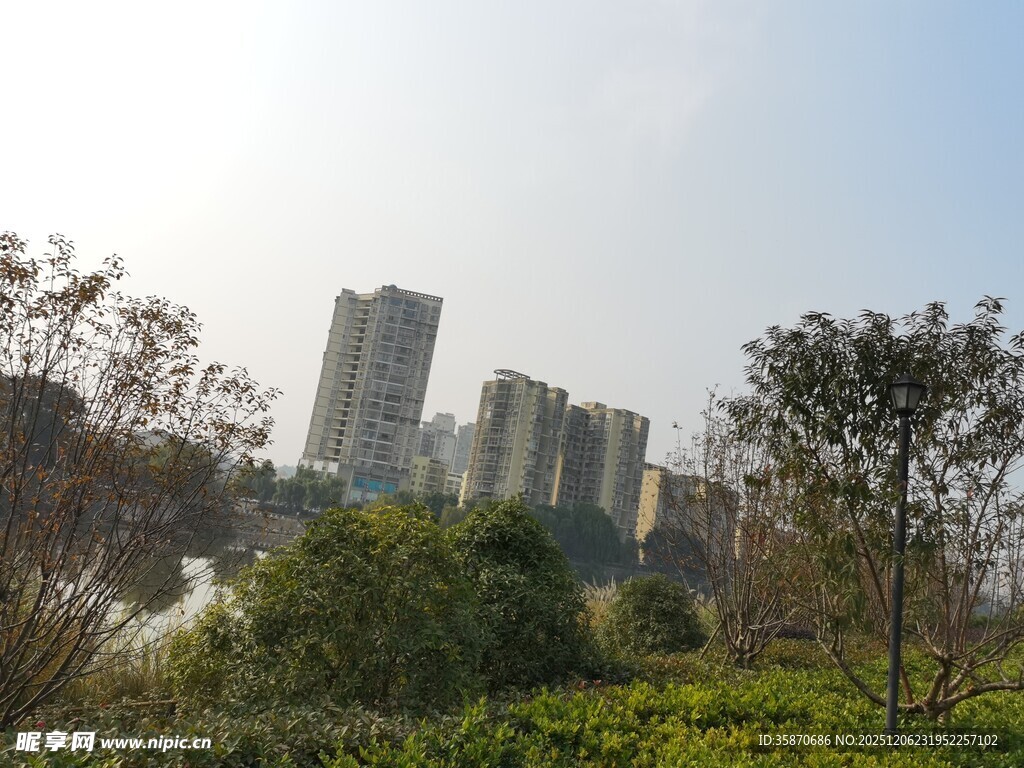 城市中的绿植与高楼景观