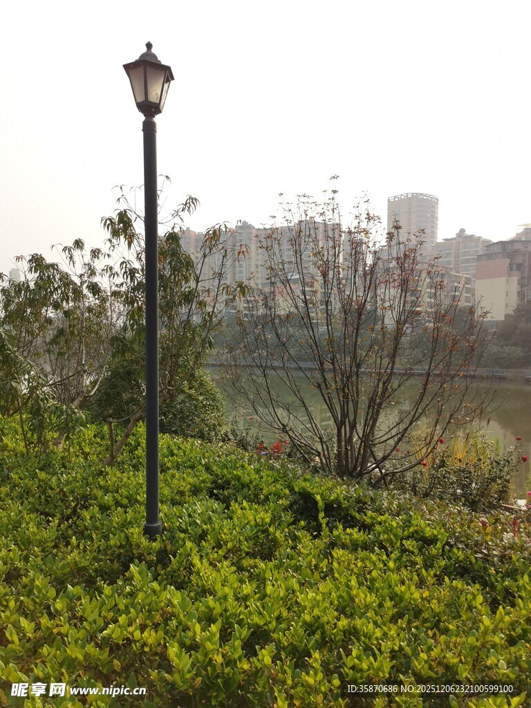 河畔路灯下的绿意景致