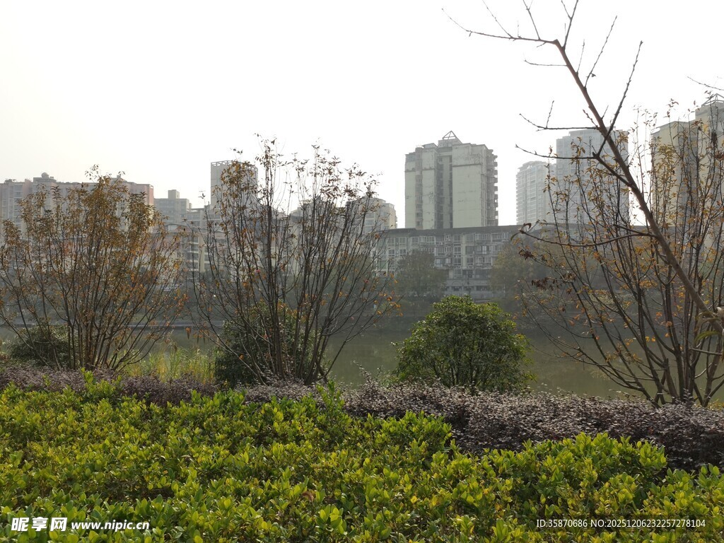 城市边缘的绿植与高楼