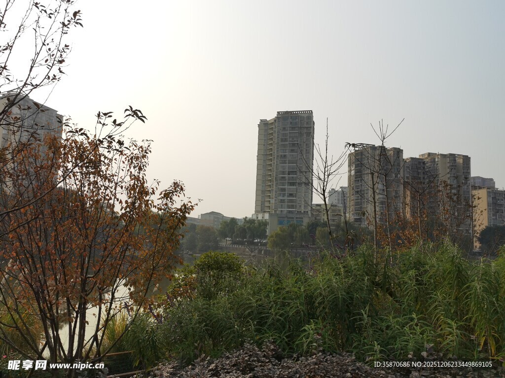 城郊风景高楼与绿植相映