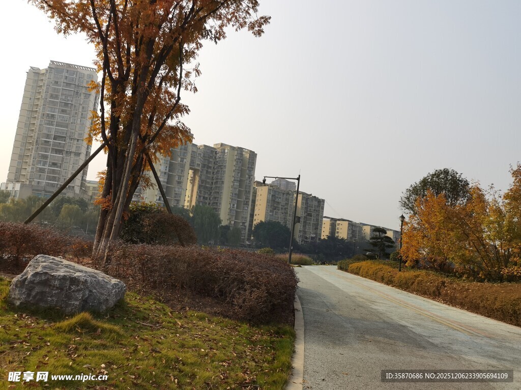 城市小径边的秋日景致