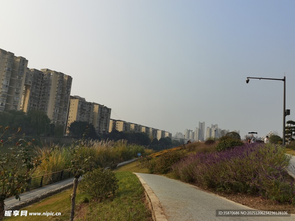 城郊蜿蜒小路旁的林立高楼