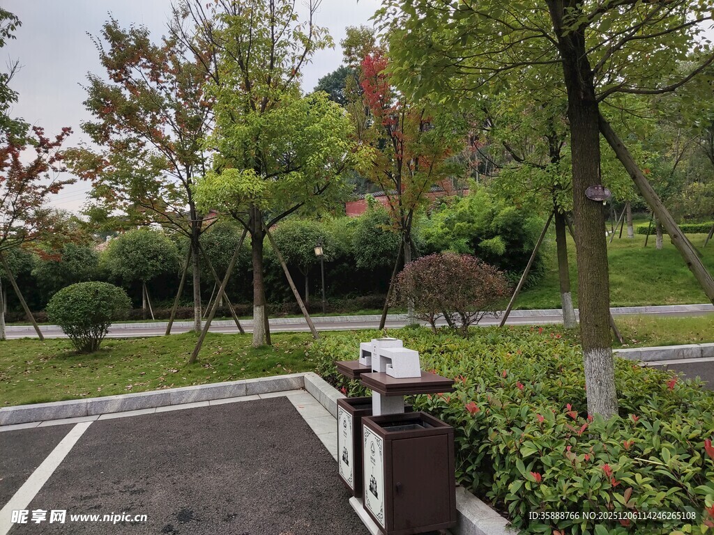 公园中的整洁步道与绿植
