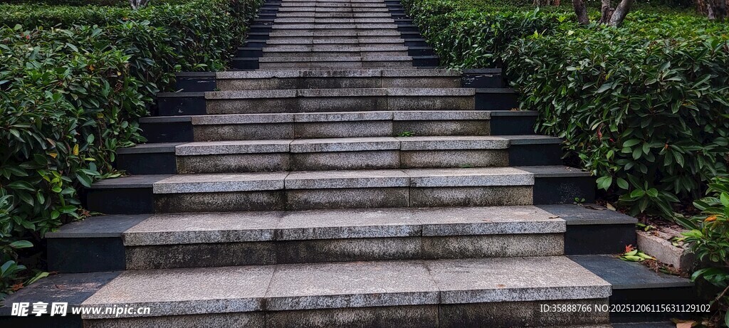 林间石阶通往静谧之境