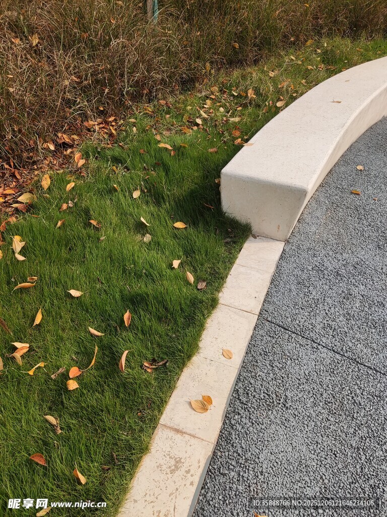 路边弧形石凳与散落秋叶