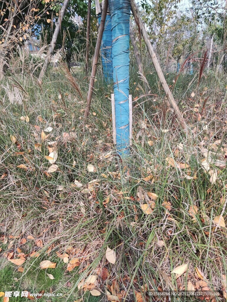 野外蓝色标识柱