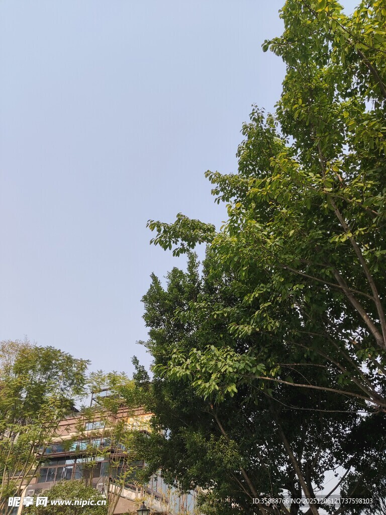 绿树蓝天间的美好景致