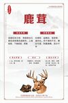 鹿茸产品介绍页