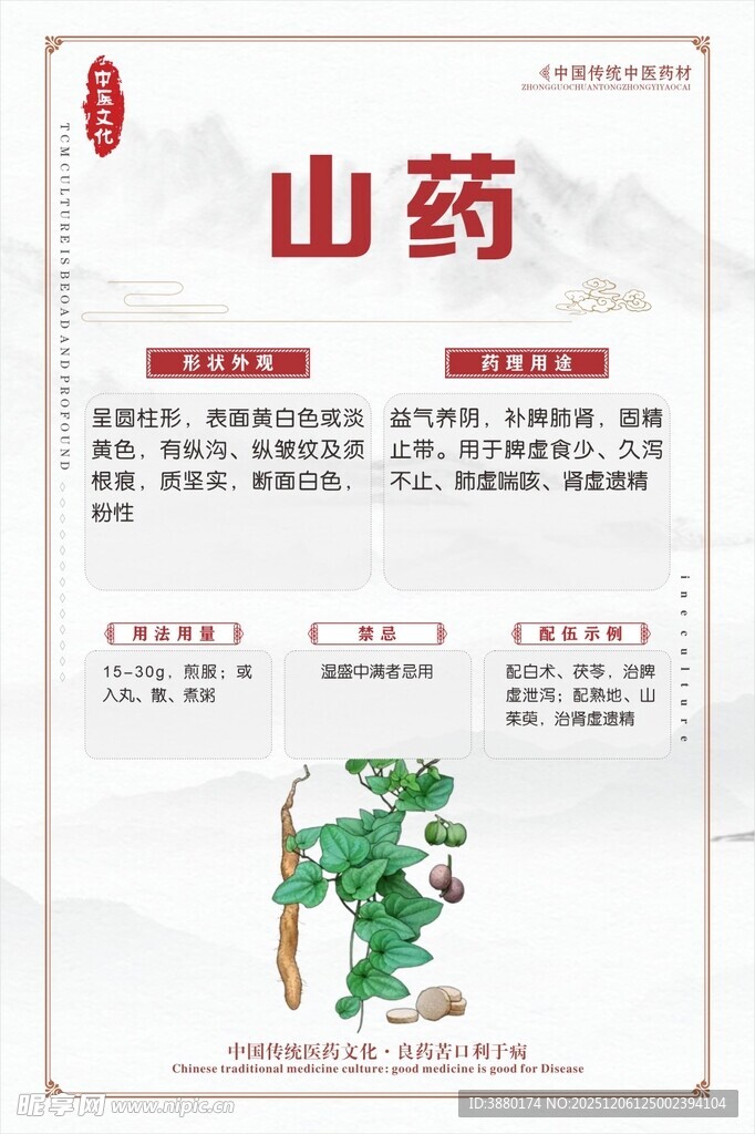 山药产品包装展示