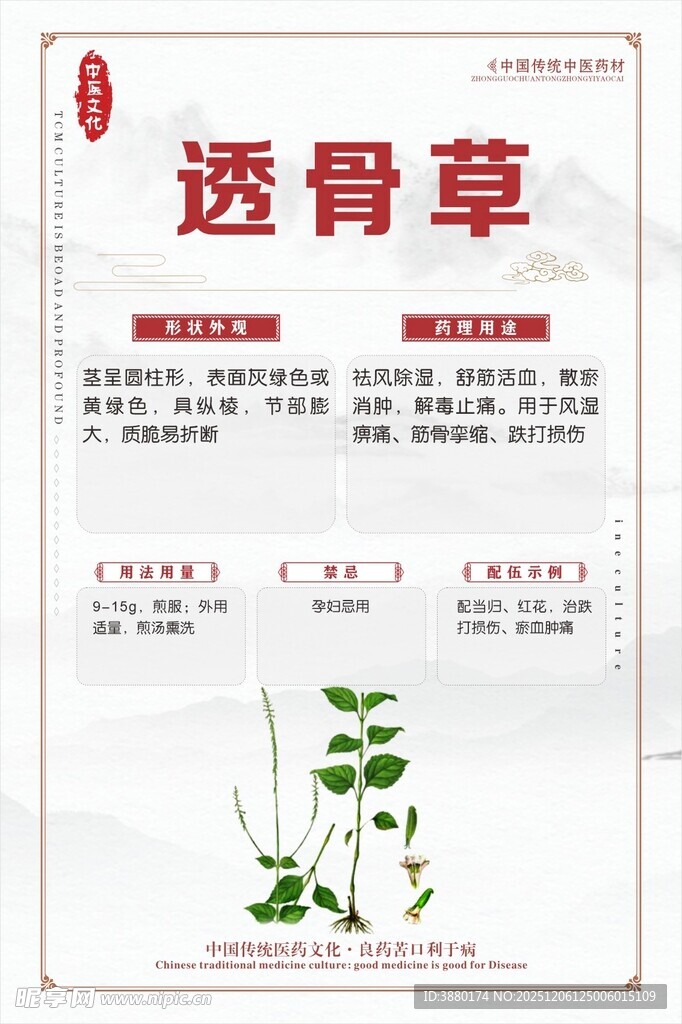 透骨草中药材介绍卡片