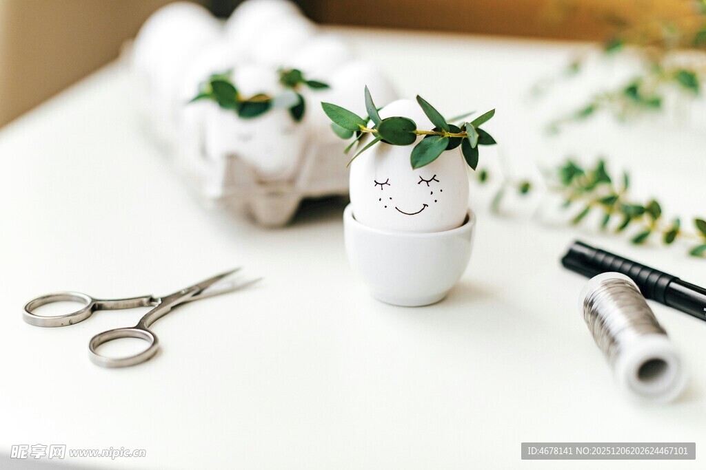 创意蛋壳绿植手工材料