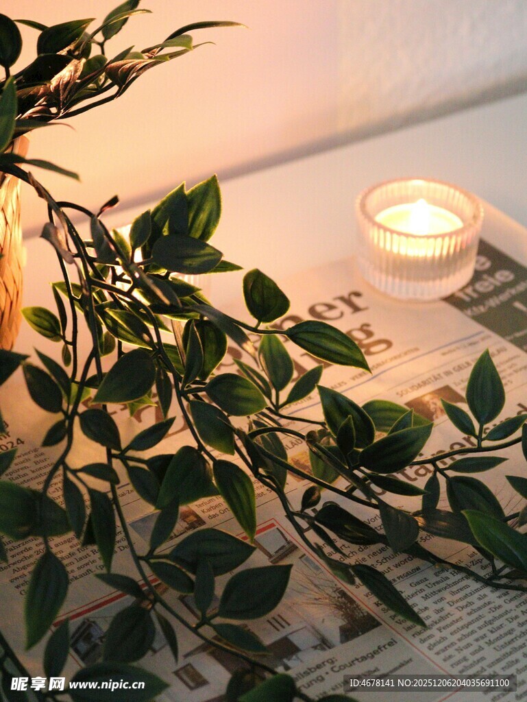 烛光下的绿植与静谧氛围