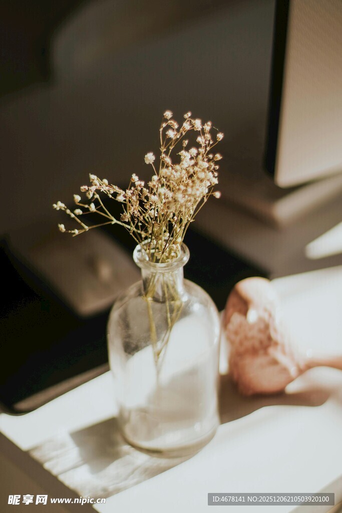 透明花瓶中的干花摆件