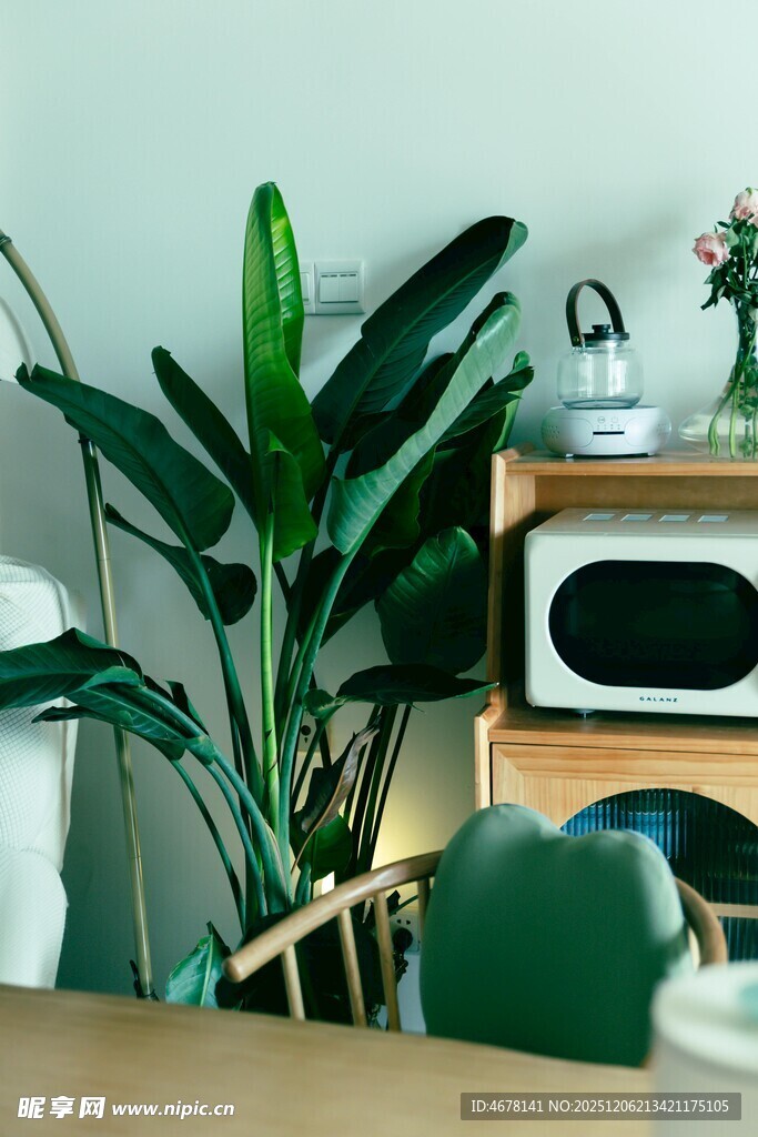 室内绿植与复古电器搭配