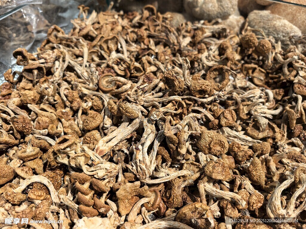 一堆干制菌类食材