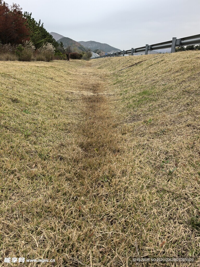 秋日旷野草地景色
