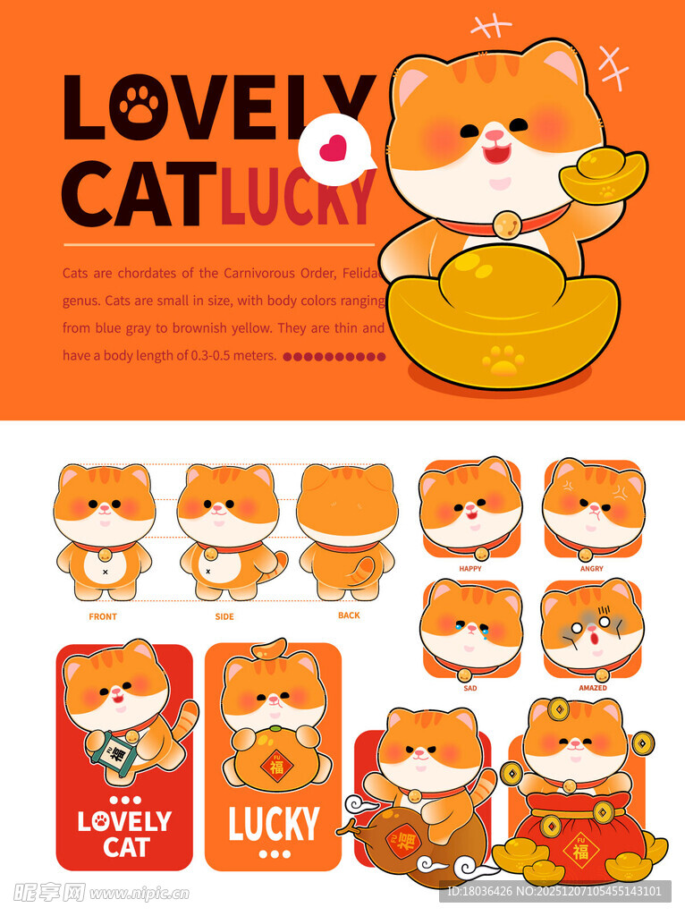 可爱猫咪橘猫主题三视图