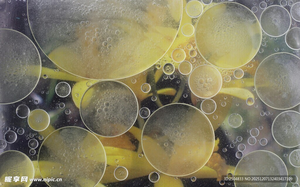 梦幻气泡微观景象