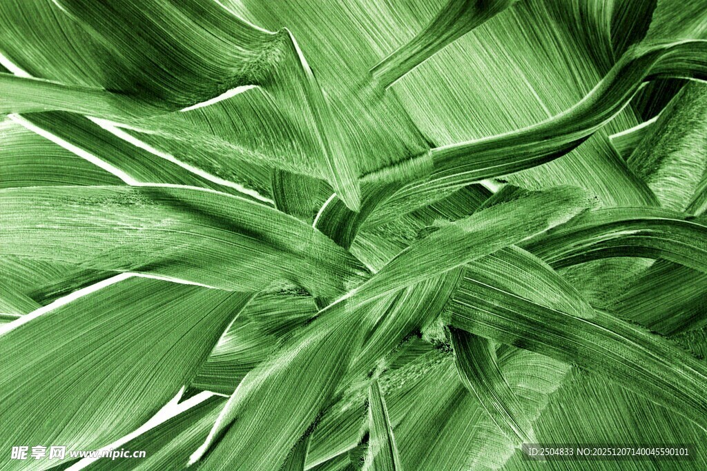 翠绿叶片特写