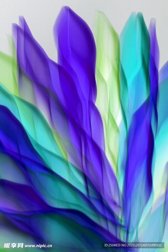 梦幻多彩羽毛纹理图案