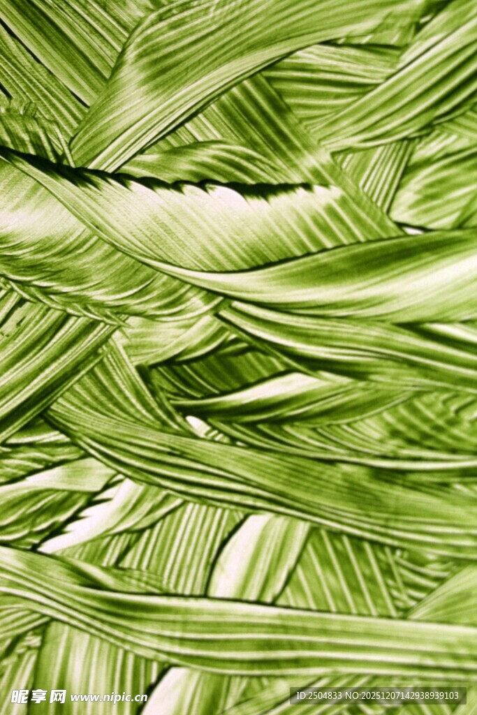 翠绿交织的热带植物纹理