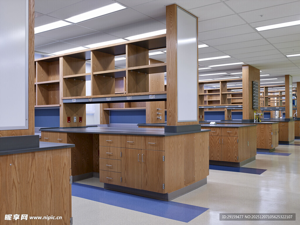 图书馆内整齐的书架场景