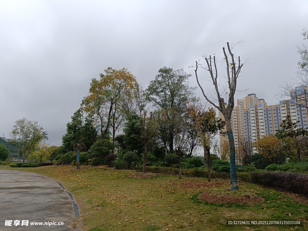 阴天的城市公园绿地景观