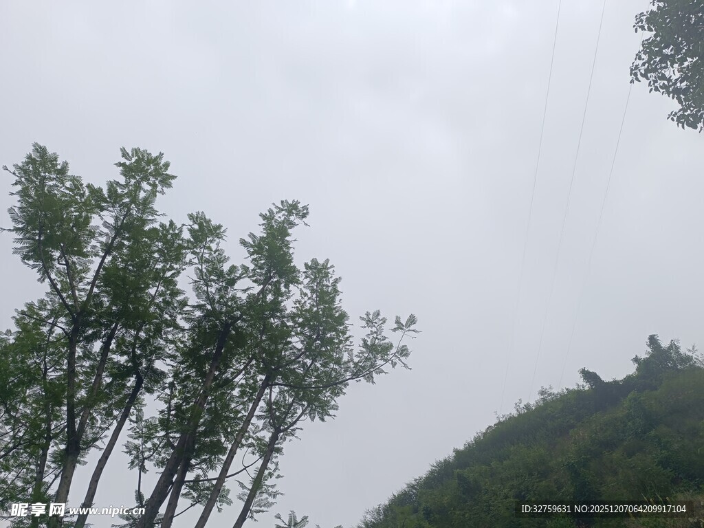 山间树木与朦胧天空