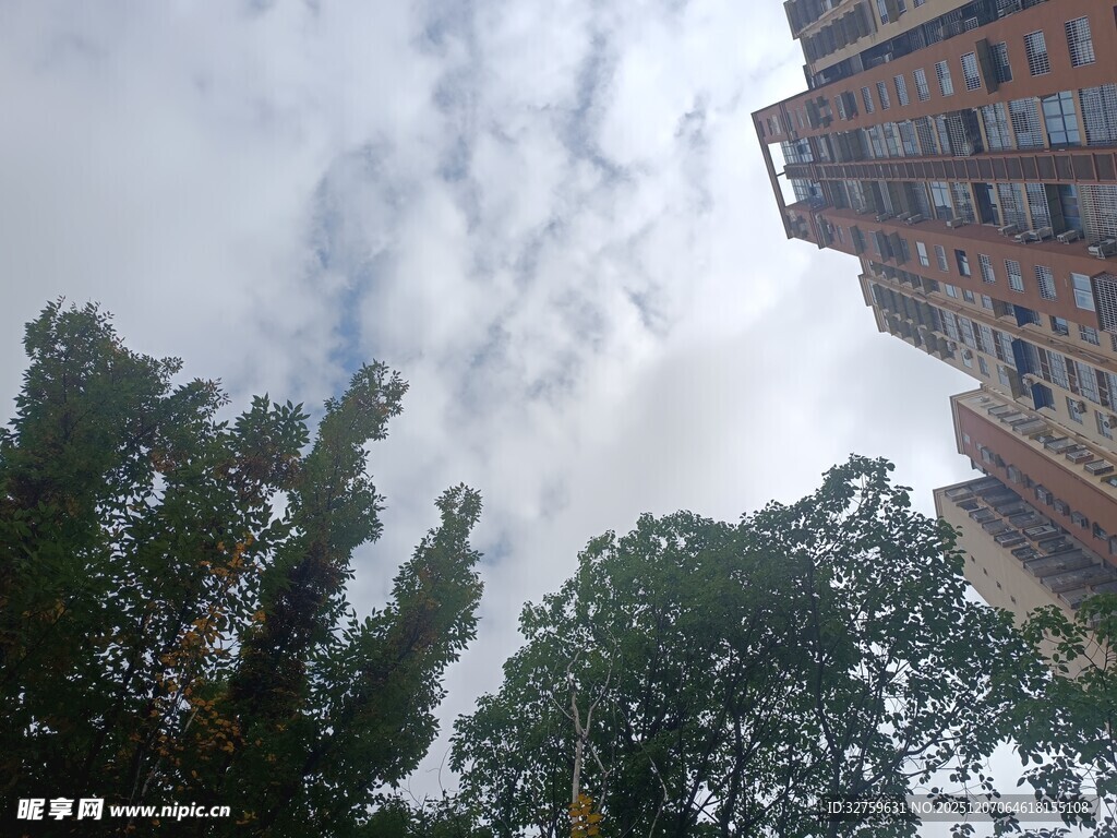 仰视高楼与绿树的天空