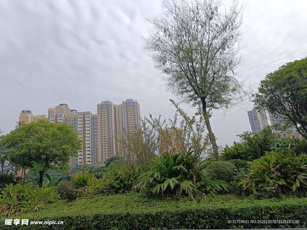 城市绿植旁的高楼景观