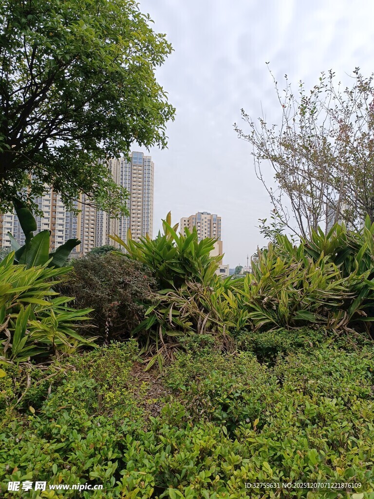 城市中的绿意盎然景观
