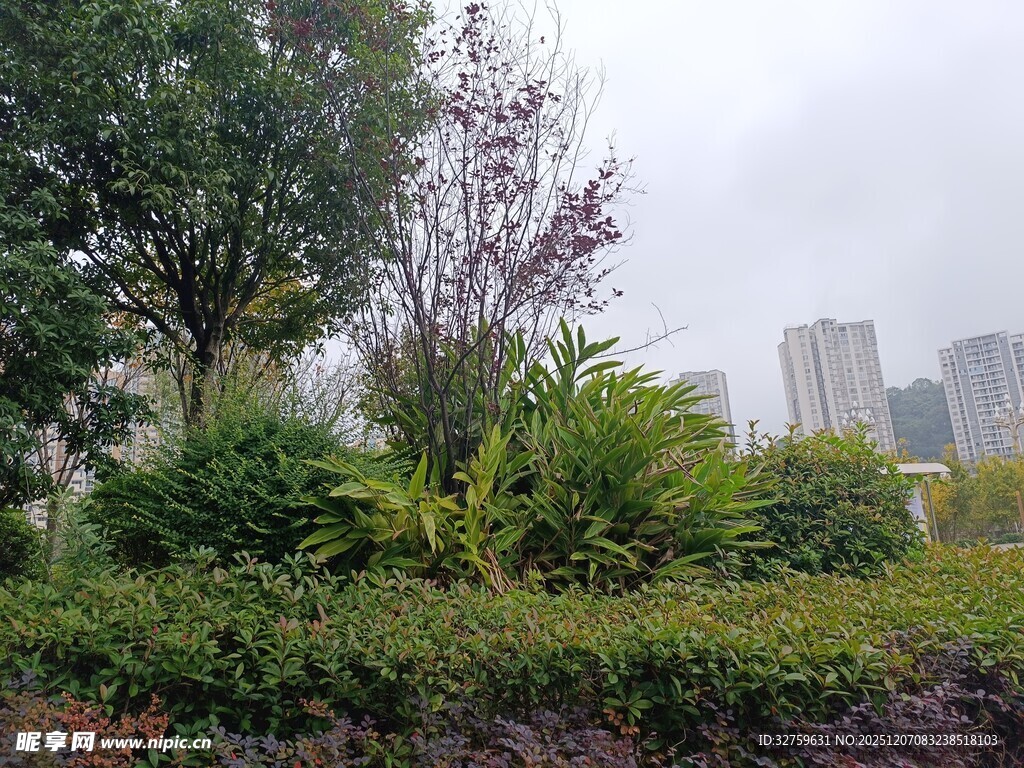 城市中的绿植景观