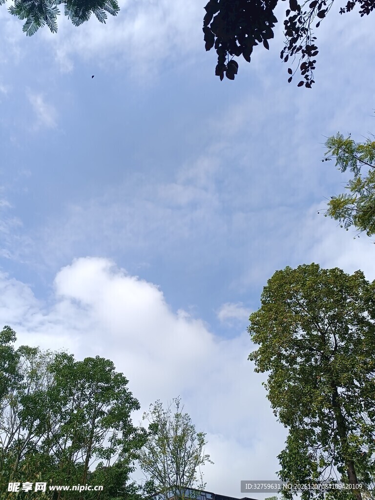 蓝天白云下的绿树景致