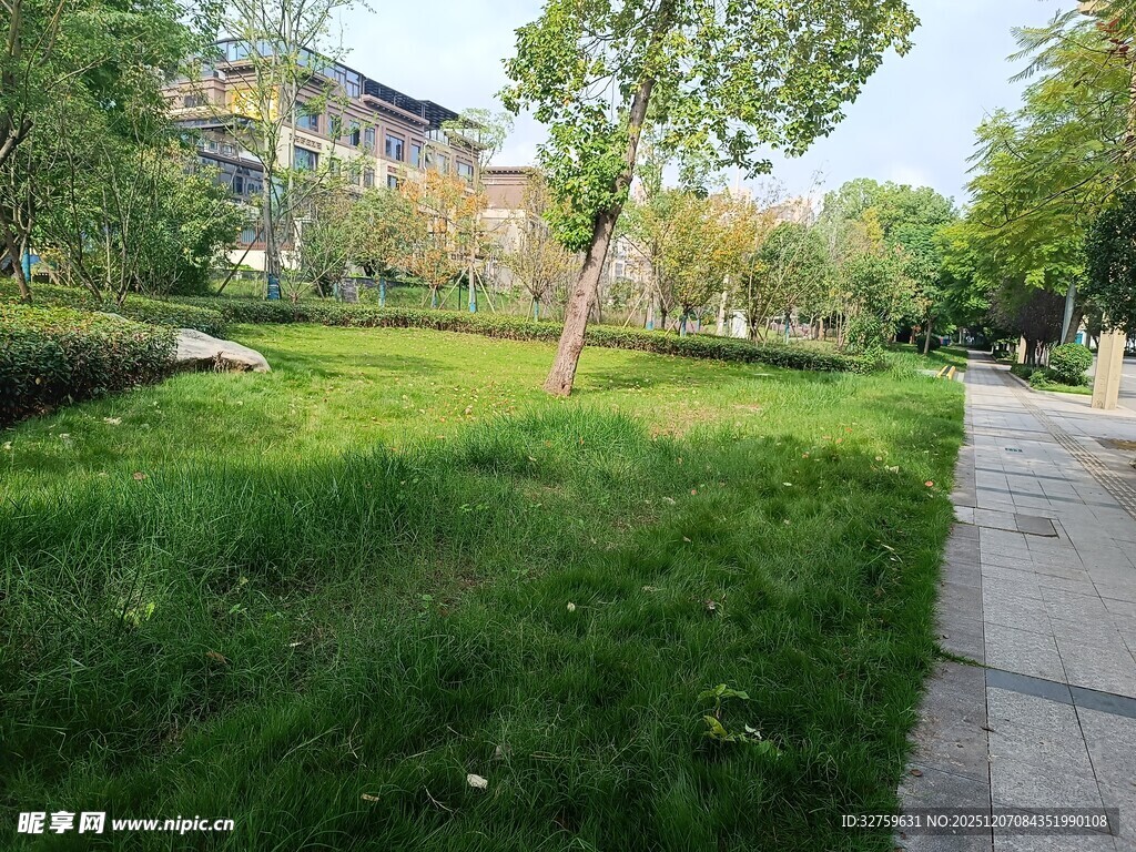 城市中的静谧绿意草坪