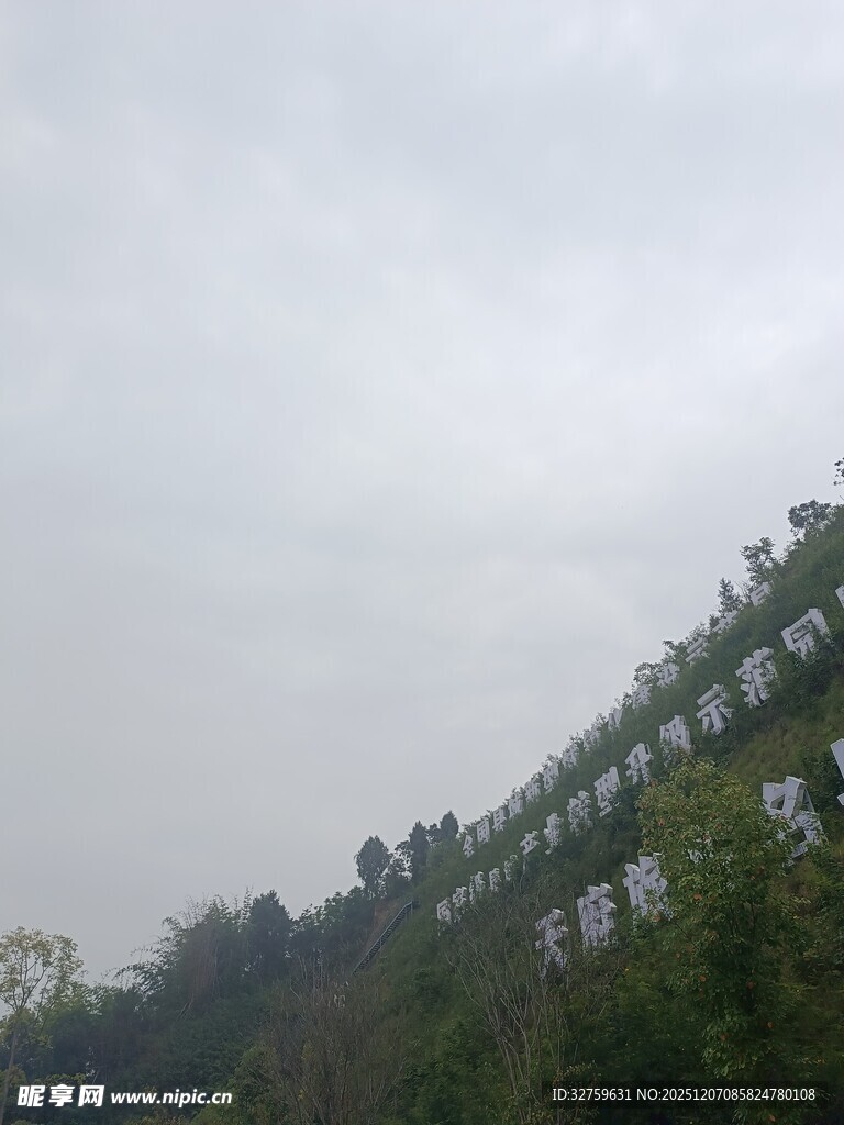 山坡绿植覆盖景观