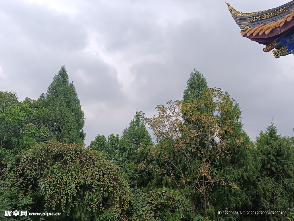 中式屋檐下的葱郁林木