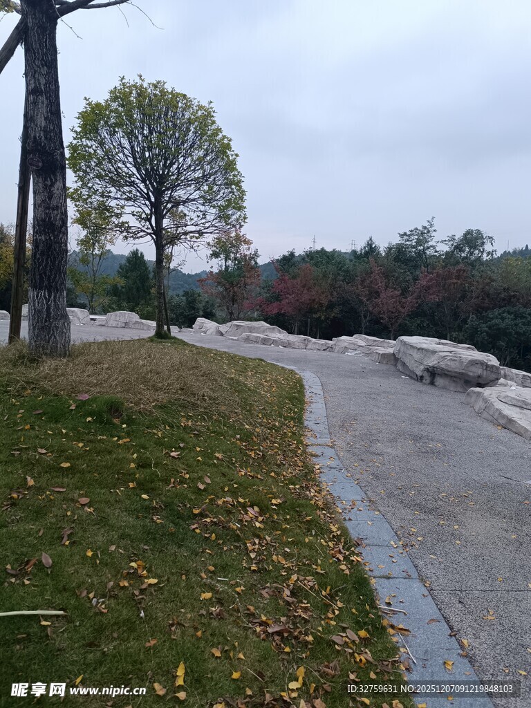 秋日公园小路风景