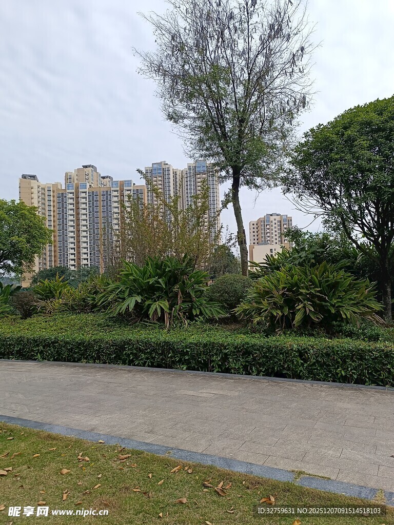城市公园中的绿植与建筑