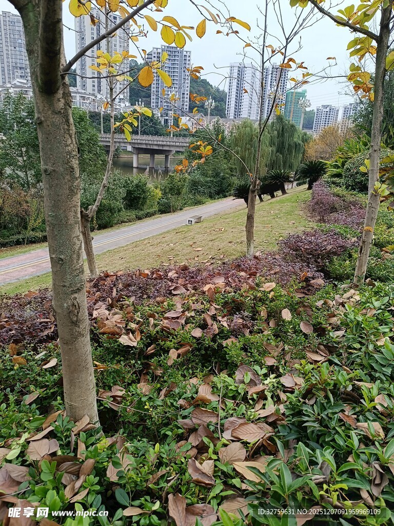 城市中的多彩植物景观