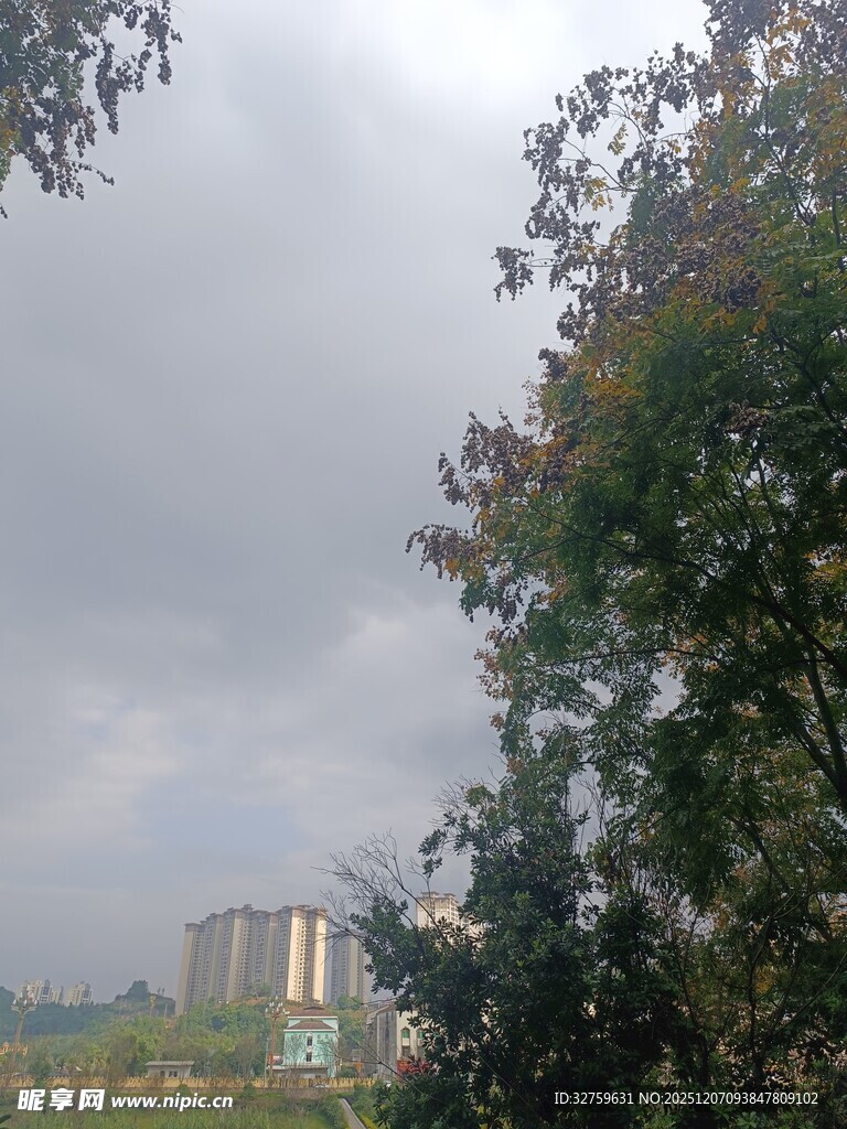 林间远望城市建筑景观