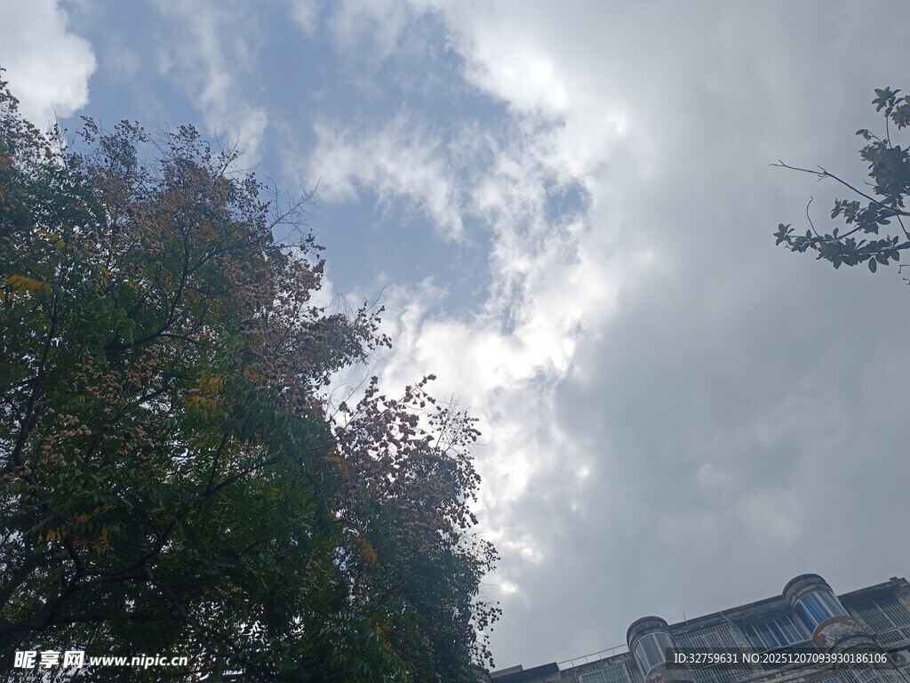 蓝天白云下的绿树与建筑