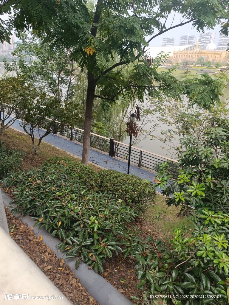 城市绿植环绕的休闲步道