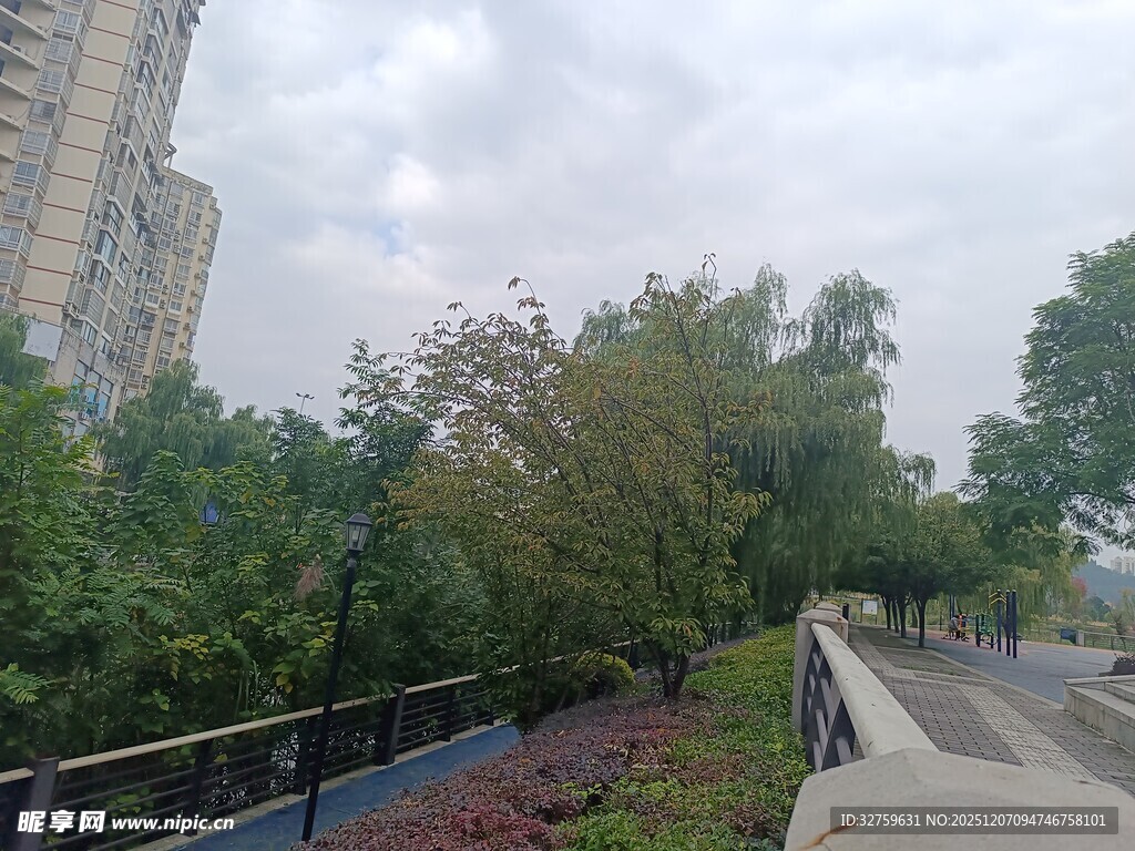 城市路边绿植景观