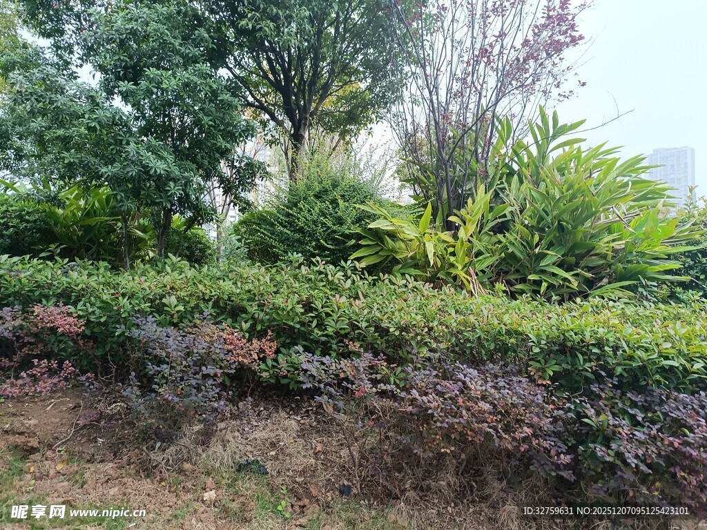 绿意盎然的园林景观