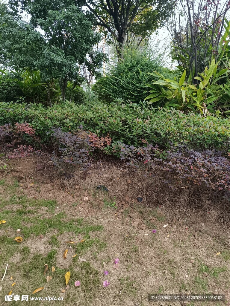 户外绿植环绕的土坡场景