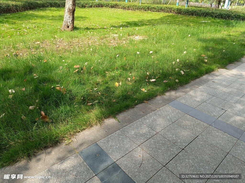 公园草地旁的砖石步道
