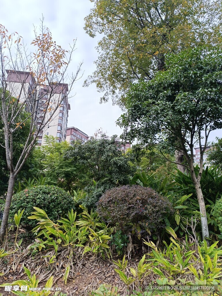 城市中的绿意盎然景观