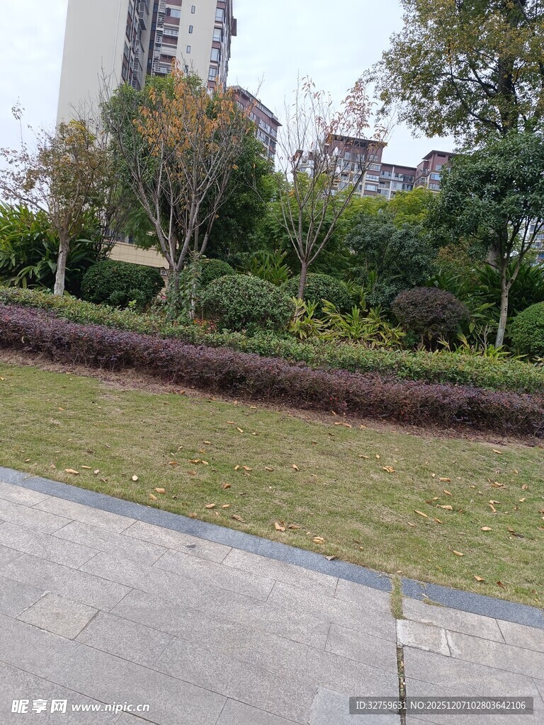 城市中宁静的绿地景观